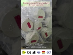 Lampade fluorescenti a LED lineari a prova di esplosione