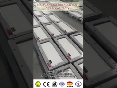 segnale di uscita a prova di esplosione approvato ATEX EAC per ambiente pericoloso 180 minuti di emergenza