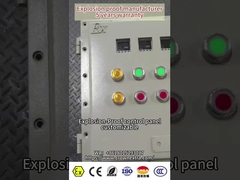ATEX CNEX Certified Ex Flameproof Control Panel Per navi industriali pericolose EPC Oil Gas Chemical