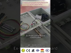 Explosion ATEX Flameproof Control Panel cartone di contenimento della scatola di distribuzione 460V IP66 WF2 per raffineria