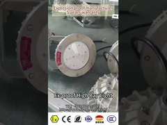 Difesa contro le fiamme LED con WF2 ATEX omologata per Div 1 240Watt 180lm/w