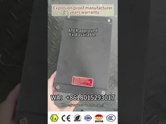 Plastico intero ((GRP) Exproof Flameproof Control Panel Box ATEX CNEX Rated WF2 AC110/220/3800/460v
