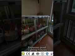 Lampada industriale antideflagrante certificata IECEx e ATEX | Serie GYD
