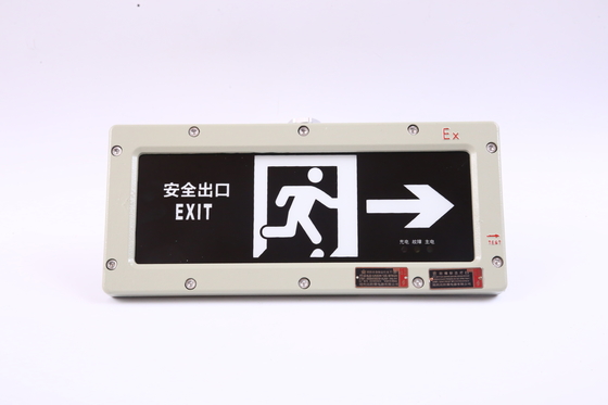 BYY-3w-IP65 Lampada di emergenza ignifuga 120 minuti LED 220VAC 24/36VDC 3000/4000/5000/5700K