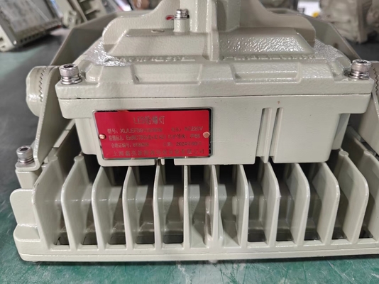 Protezione IP66 WF2 Proof Explosion LED Flood Light per il montaggio pendente per il laboratorio delle stazioni di servizio
