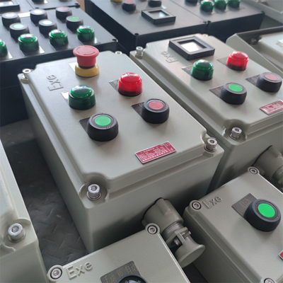 Controllo a prova di fiamma con protezione IP66/WF2 per ambienti pericolosi