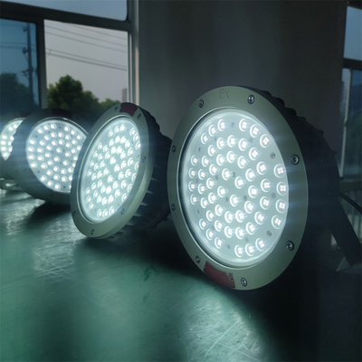 WF2 Grado CREE Lampada LED a prova di fiamma IP66 per ambienti difficili