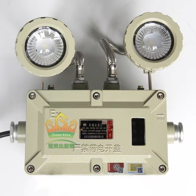 Luce d'emergenza in alluminio ignifusa per situazioni pericolose e di emergenza con lunga durata di vita di 50000 ore e OEM