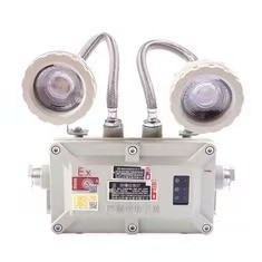 Luce di emergenza a prova di esplosione 2*3Watt LED 220VAC 24/36VDC per la zona 1 2