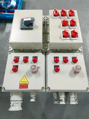 IP66 WF2 Pannello a prova di ex per aree pericolose