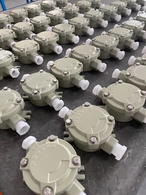 Casella di giunzione per montaggio a parete in lega di alluminio con protezione WF2