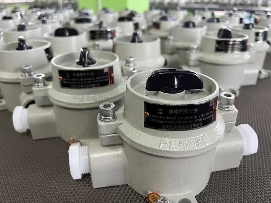 Interruttore elettrico a prova di esplosione 220V / 380V con zona grigia WF2 22