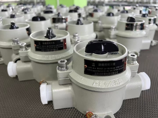 Interruttore a prova di esplosione resistente alla corrosione con livello di protezione Ip66 per l'ingresso di cavi da 9-13 mm