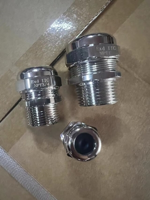 IP68 Glandola di cavo a prova di esplosione Atex/Iecex Glandola di cavo a prova di esplosione per applicazioni di petrolio e gas
