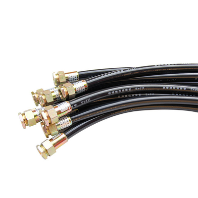 Divisione 1 2 21 22 Area Ex Proof Flexible Pipe Conducts Servizi personalizzati per ambienti estremi