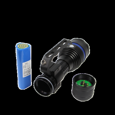 Torcia LED personalizzabile per server, illuminazione antideflagrante IP66, protezione WF2
