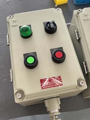 220V ATEX Ex Db IIC T6 Gb Ex-Proof Control Station Facile installazione Adatta alla produzione