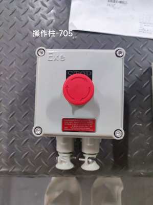 Prodotto in Cina ATEX 220V/380V BLK IP65 Interruttore di isolamento antideflagrante adatto per il montaggio a parete