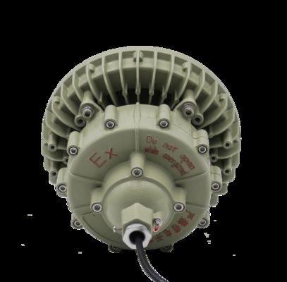 Luce ATEX antideflagrante IP66 100W Illuminazione a LED per cabina alta Montaggio a soffitto Illuminazione per magazzini