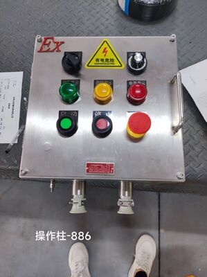 Scatola di giunzione antideflagrante in acciaio inossidabile con fori personalizzabili M/G/NPT Exd II C T6 Gb Ex-Mark