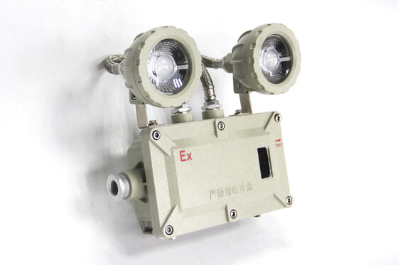 Prodotto in Cina 220V a buon mercato 2×3W/2×5W Ex-proof Emergency Light Montaggio a parete e soffitto