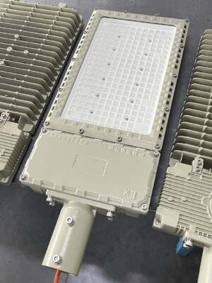 ATEX/IECEx Proof Explosion Floodlight/Street LED light 50-1000W IK10 IP66 per la zona 1&2/zona 21&22