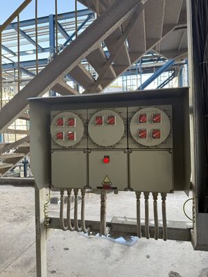 Resistenza alla corrosione IP 65 Pannelli di controllo elettrici antideflagranti 380V Quadro elettrico con interruttore antideflagrante