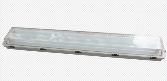 100lm/w Risparmio energetico 600mm Luce fluorescente a prova di esplosione con grado di protezione IP66 con tempo di emergenza di 90 minuti