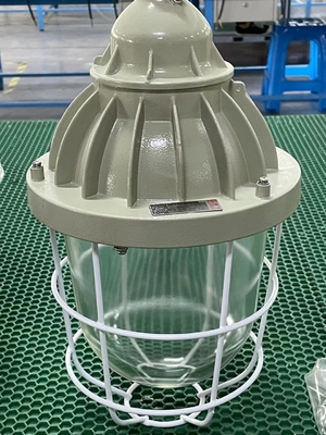 Tonalità di lampada facoltativa NASCOSTA protetta contro le esplosioni della luce IP55 di ATEX 70-400W