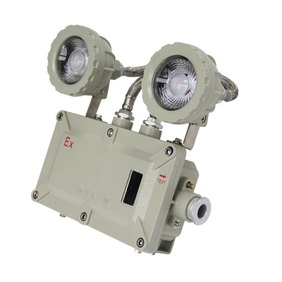 220v montato a parete, doppia testa, 90 minuti di tempo di emergenza, 20*3w a prova di esplosione, luce di emergenza LED
