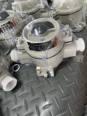9mm-13mm Cable Spec Spark Proof Toggle Surface Mount Explosion Proof Switch per il settore industriale