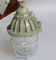 La lampada facoltativa ignifuga IP55 delle lampade protette contro le esplosioni di ATEX protegge 220VAC, 50-60Hz