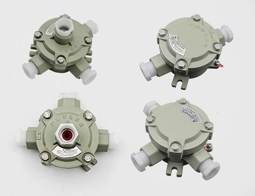 ATEX IP66 Interruttore di illuminazione a prova di fiamma a prova di esplosione anticorrosione 380VAC 220VAC