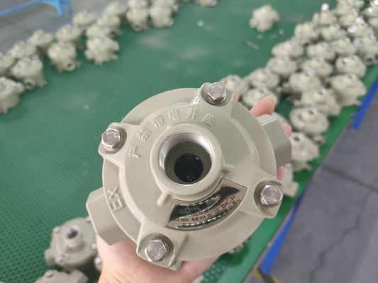 Cable Spec 9mm 13mm Explosion Proof Switch Aluminio di grado marino 10A Current Industrial Control Switch Per aree pericolose