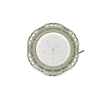 WF2 Lampade a prova di esplosione a LED a coda in alluminio fuso a fuso montato CRI &gt; 80