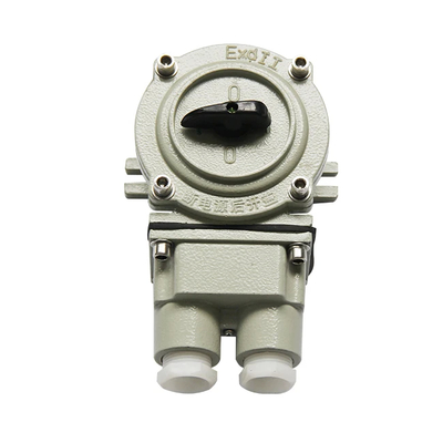 G3/4 Modello n. SW-10 Corrente 10A per ambienti pericolosi