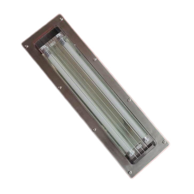 50/60Hz Frequenza Luce fluorescente a prova di esplosione 2 tubi e 3 tubi Classe di sicurezza II
