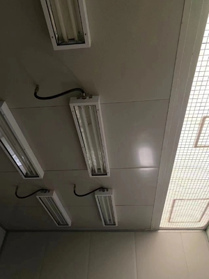 Lampada fluorescente a prova di esplosione 100lm/w temperatura del colore personalizzata 5 anni di garanzia