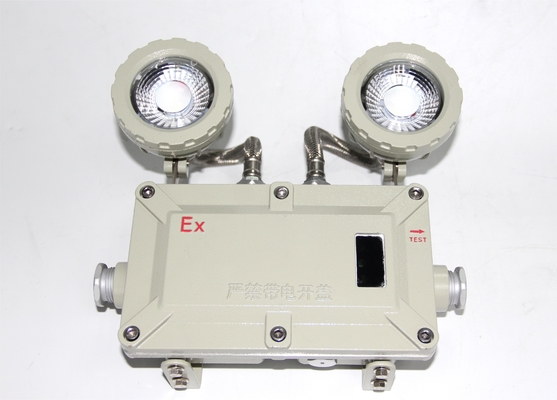 220v montato a parete, doppia testa, 90 minuti di tempo di emergenza, 20*3w a prova di esplosione, luce di emergenza LED