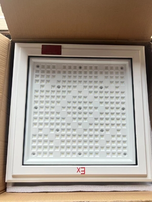 Ip66 impermeabile per luoghi pericolosi Proiettore a LED Lunga durata di vita 500000 ore