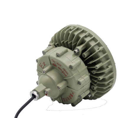 Lampade a prova di corrosione a prova di esplosione a LED con driver MEANWELL IP66