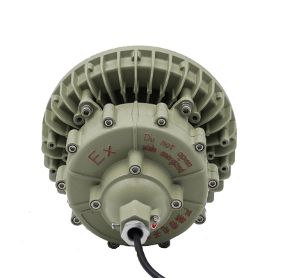 Lampade a prova di esplosione a LED con driver Meanwell con rating IP66
