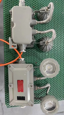 ATEX Lampada di emergenza ignifuga con LED per mura interne / esterne