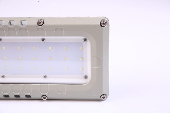 100lm/W Efficienza Luogo pericoloso Luce fluorescente Voltaggio 100-240VAC 90° Angolo del fascio