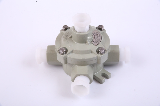 Cassa di giunzione a prova di esplosione IP65 personalizzabile G1/2&quot; G3/4&quot; G1&quot; G1 1/4 G1 1/2&quot; G2&quot;