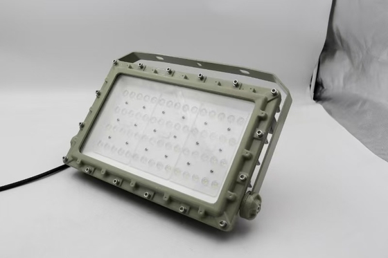 Luce a LED a prova di esplosione a tensione AC100-277V 50w e livello di protezione IP66 per gas di petrolio e aree industriali