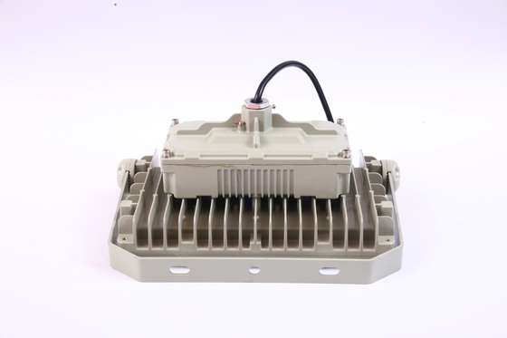 Luce a LED a prova di esplosione a tensione AC100-277V 50w e livello di protezione IP66 per gas di petrolio e aree industriali