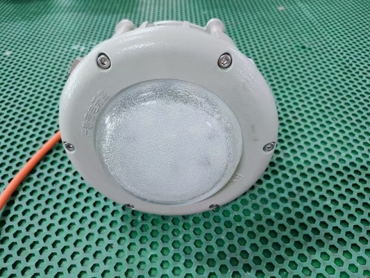 GYD6102 a prova di esplosione per la zona 1/2&amp;21/22GYD6102 100W 120lm/W 100-240VAC 50-60Hz 24/36VDC Ra≥80
