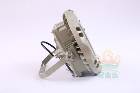 WF2 montato a parete 100 Watt luci a prova di esplosione LED per la zona 2 e 21, 22