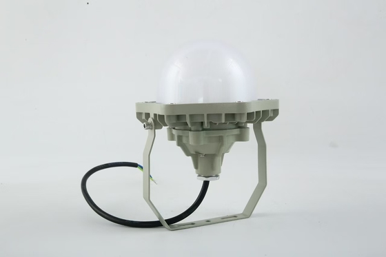 100W di prova di esplosione High Bay Light AC220V 50/60Hz IP66 con 70±2CRI Nuovo design prodotti più venduti Price Workshop